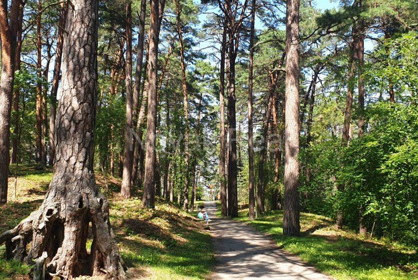 WhatsApp-Image-2019-07-18-at-23.18.35