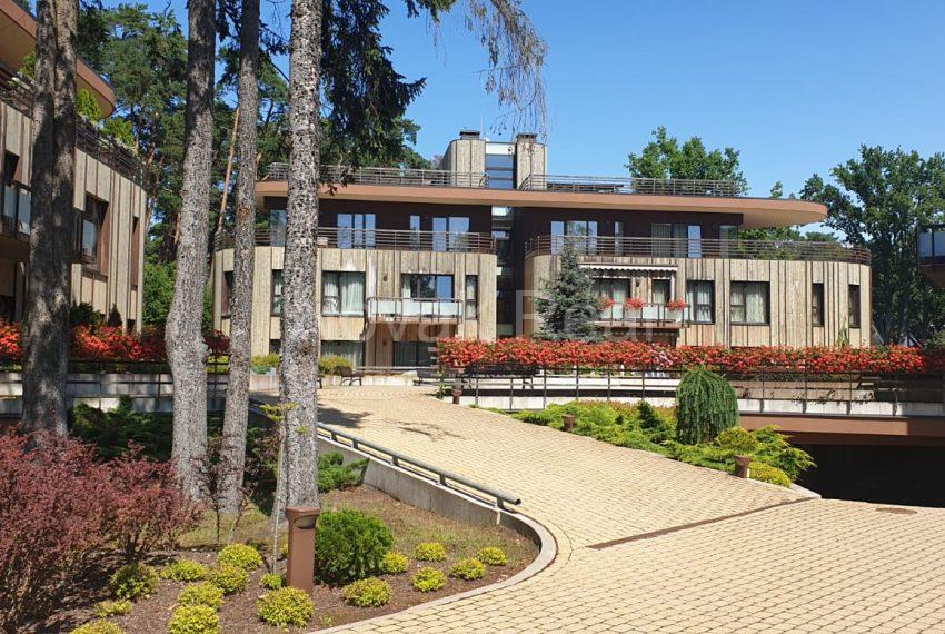 WhatsApp-Image-2019-07-18-at-23.19.03