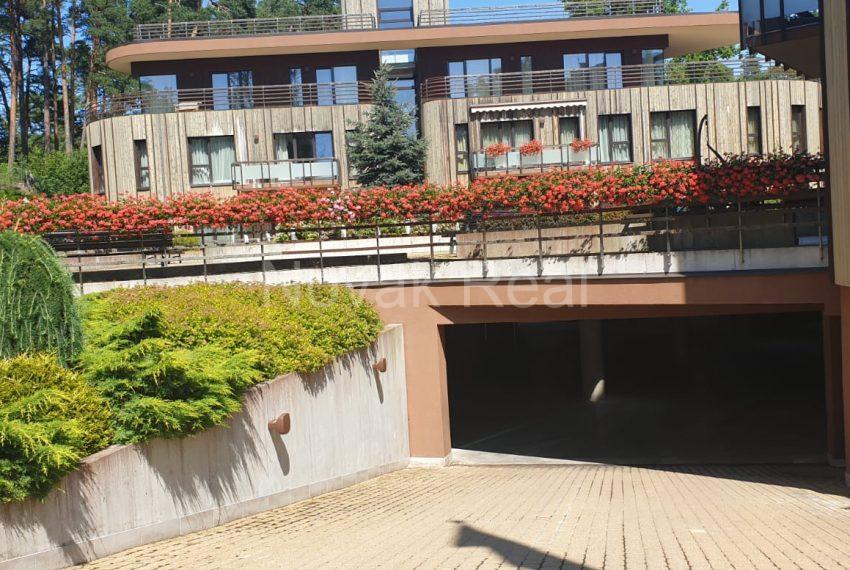 WhatsApp-Image-2019-07-18-at-23.19.58