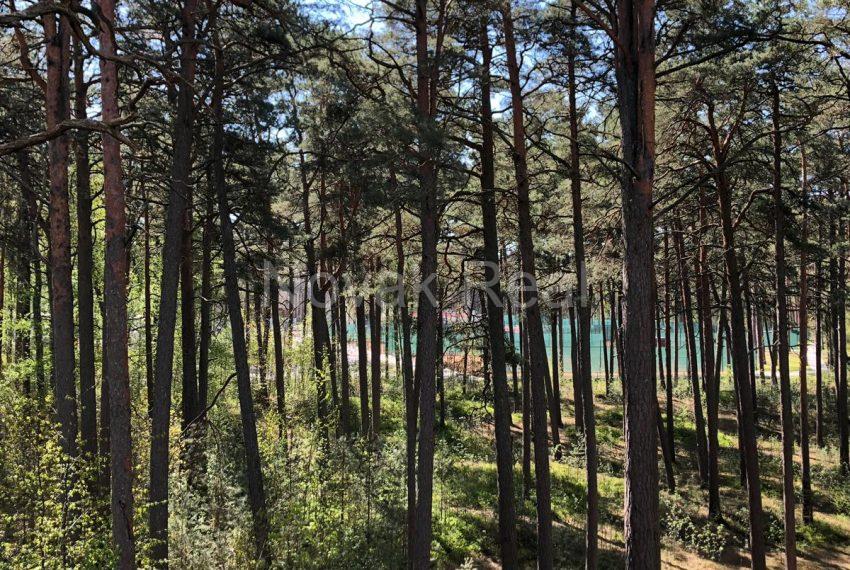 WhatsApp-Image-2019-08-09-at-19.24.11-1