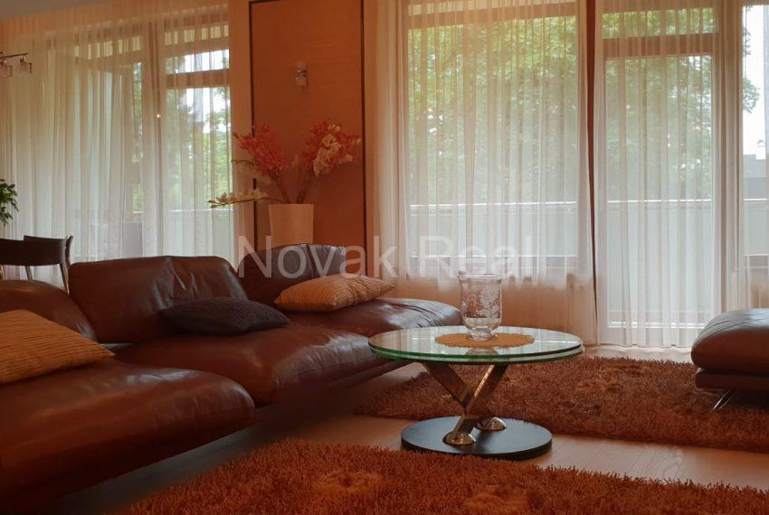 WhatsApp Image 2019-11-21 at 13.24.29 (3)