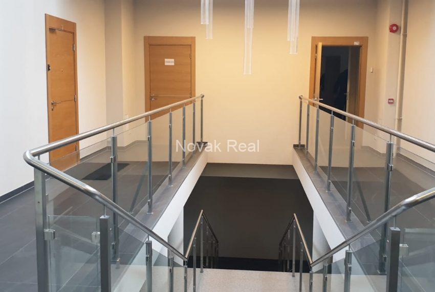 PHOTO-2020-03-10-17-18-53-2-1