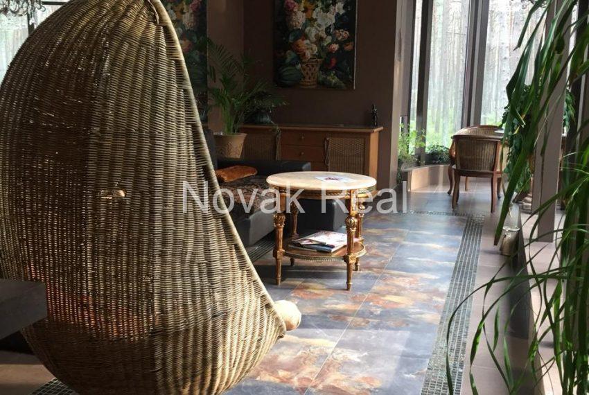 PHOTO-2020-02-02-11-42-49 3