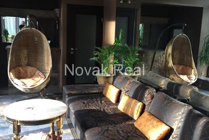 PHOTO-2020-02-02-11-42-51 3