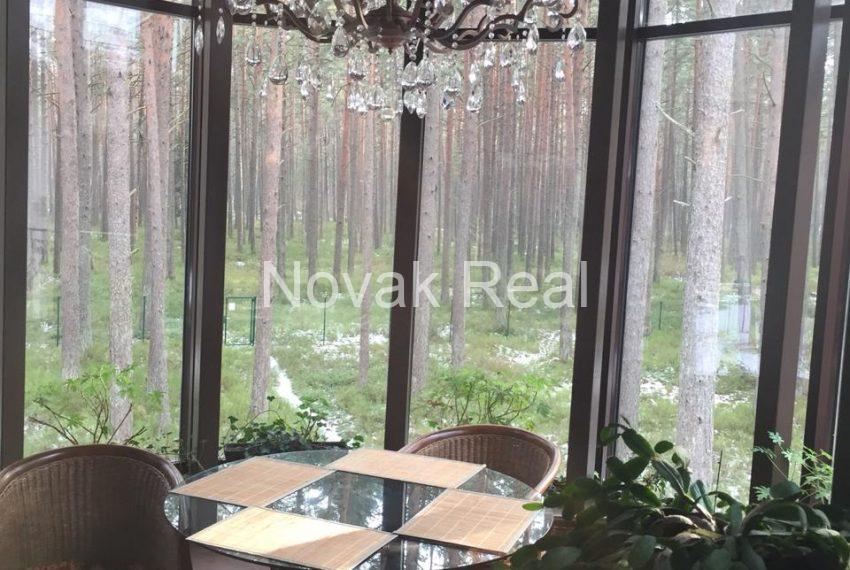 PHOTO-2020-02-02-11-42-51 4