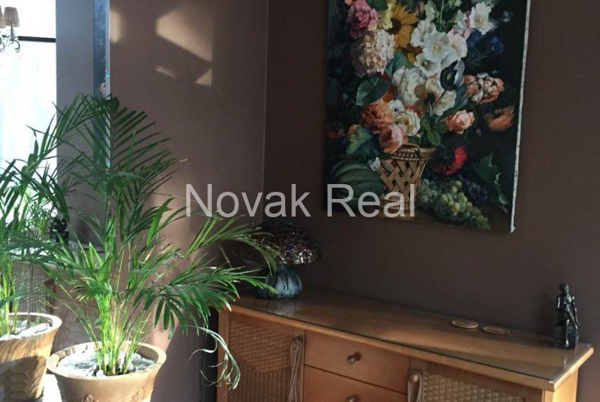 PHOTO-2020-02-02-11-42-51