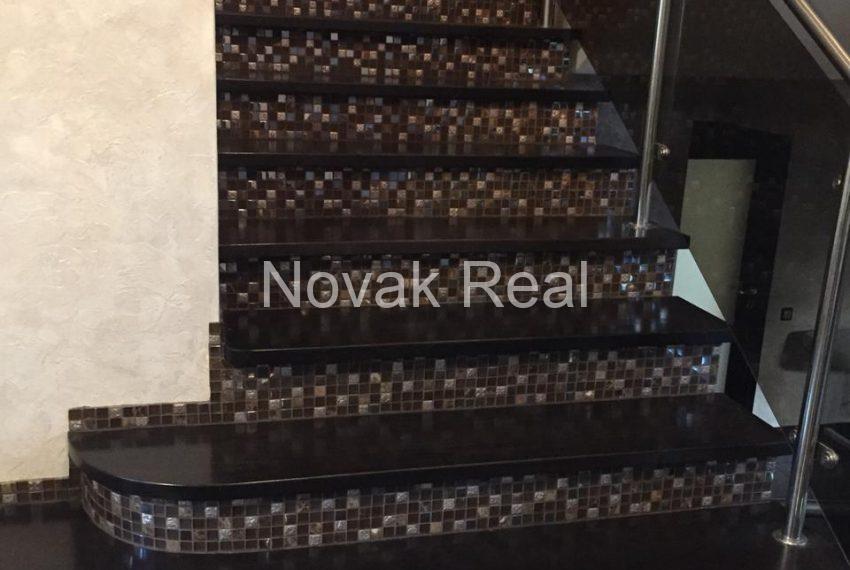 PHOTO-2020-02-02-11-42-52 4