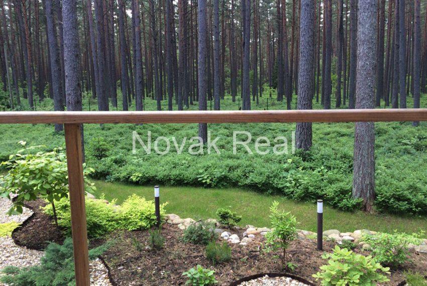 PHOTO-2020-02-02-11-42-56