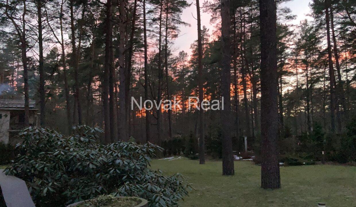 WhatsApp Image 2026-02-12 at 13.42.35 (7)