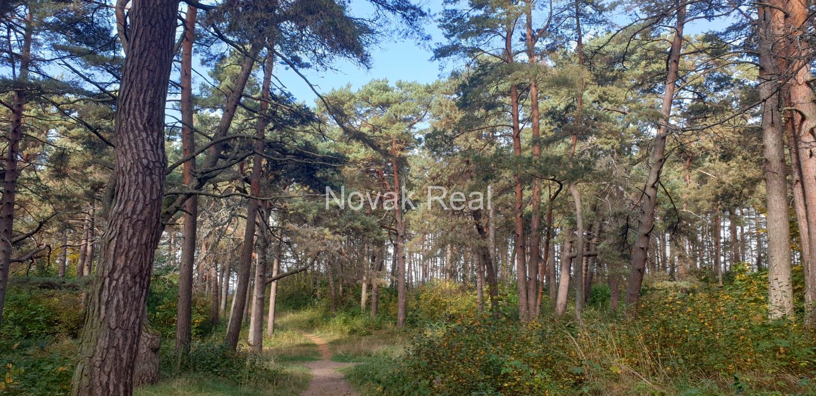 A house for rent in Jūrmala, close to the sea, in a quiet location