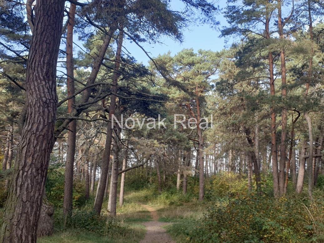 In Jurmala, near the sea, in a quiet place, a house is available for long-term rent