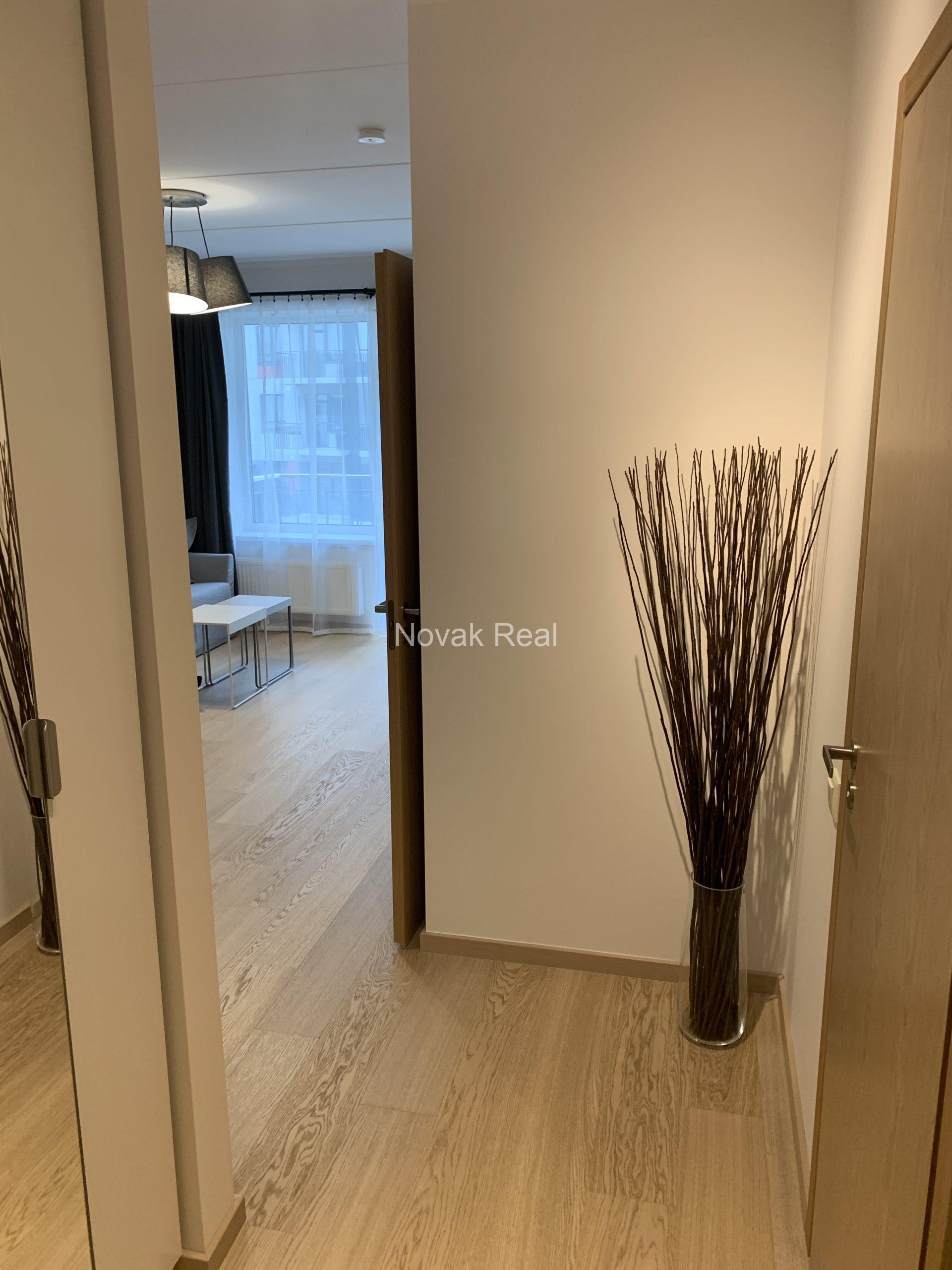 Apartment for rent in a new project, Purvciems