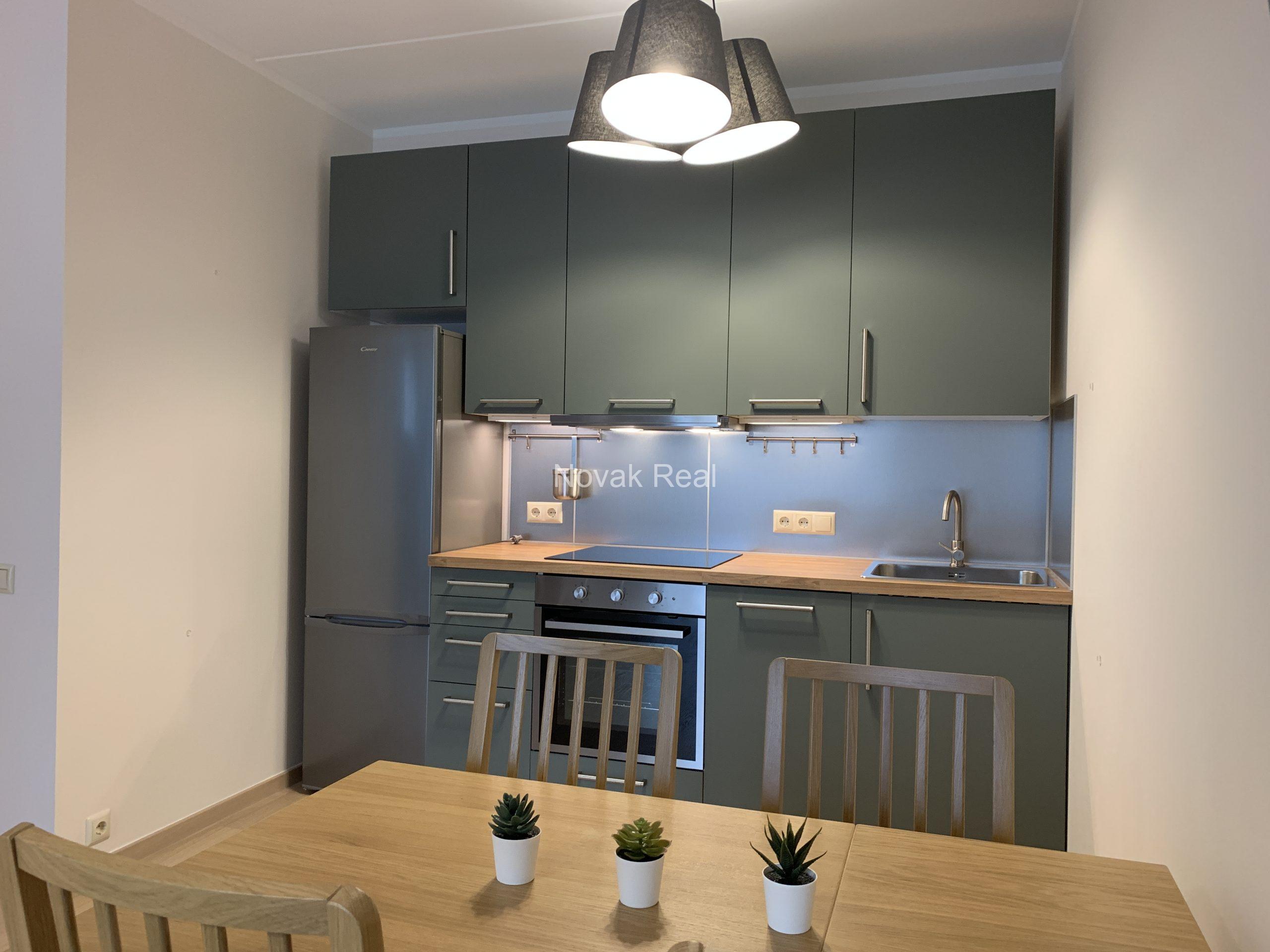 Apartment for rent in a new project, Purvciems