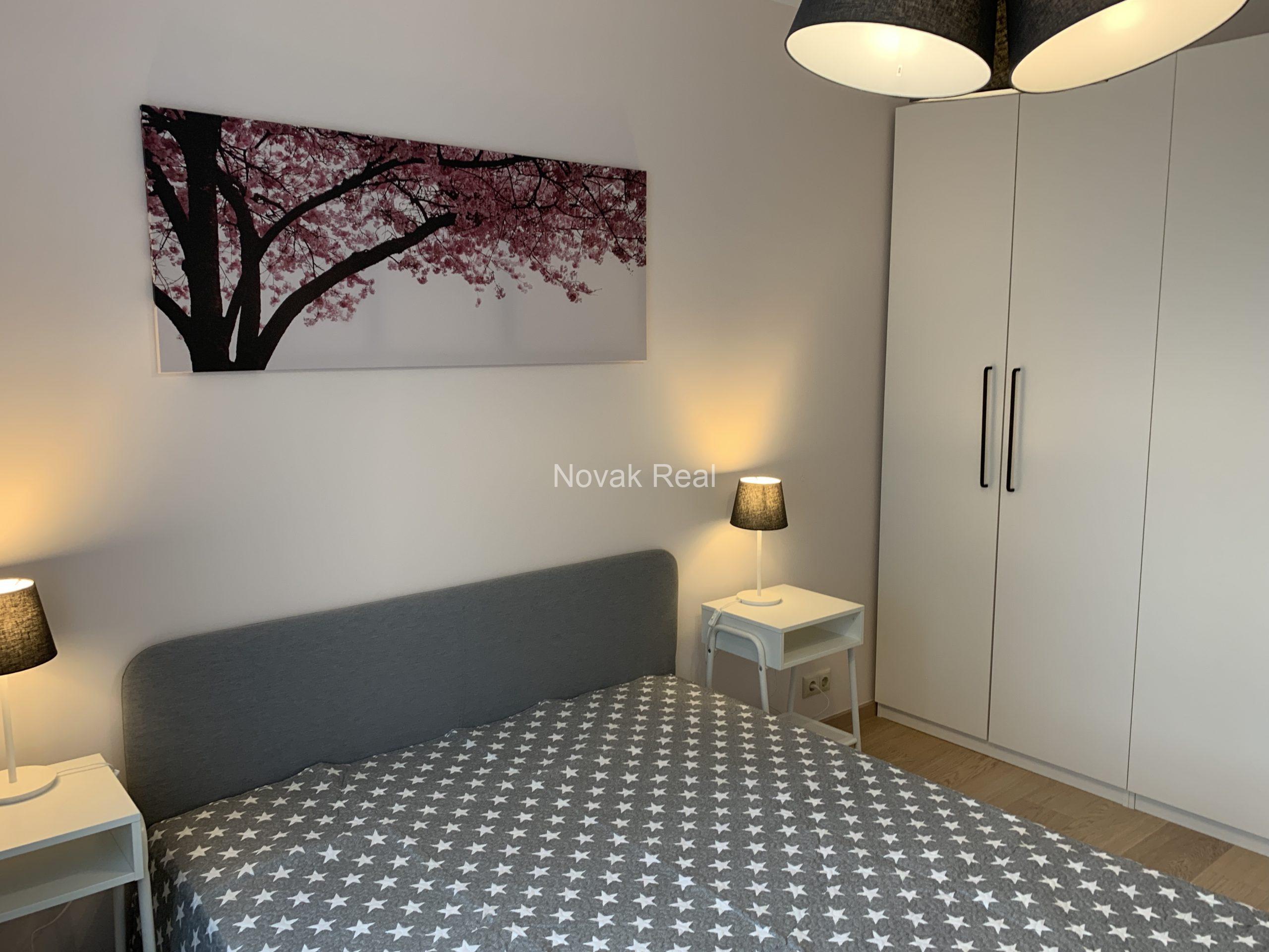 Apartment for rent in a new project, Purvciems