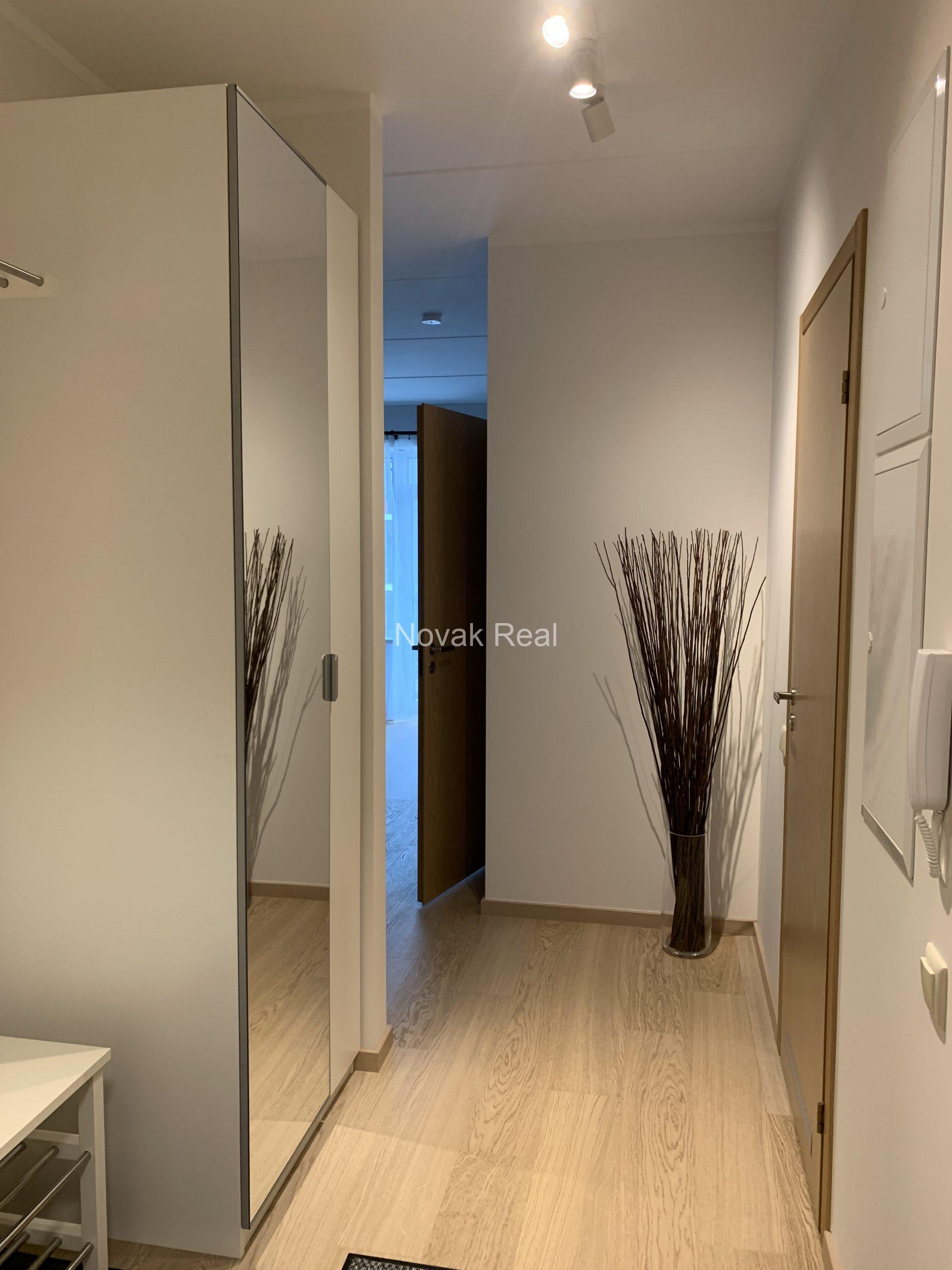 Apartment for rent in a new project, Purvciems