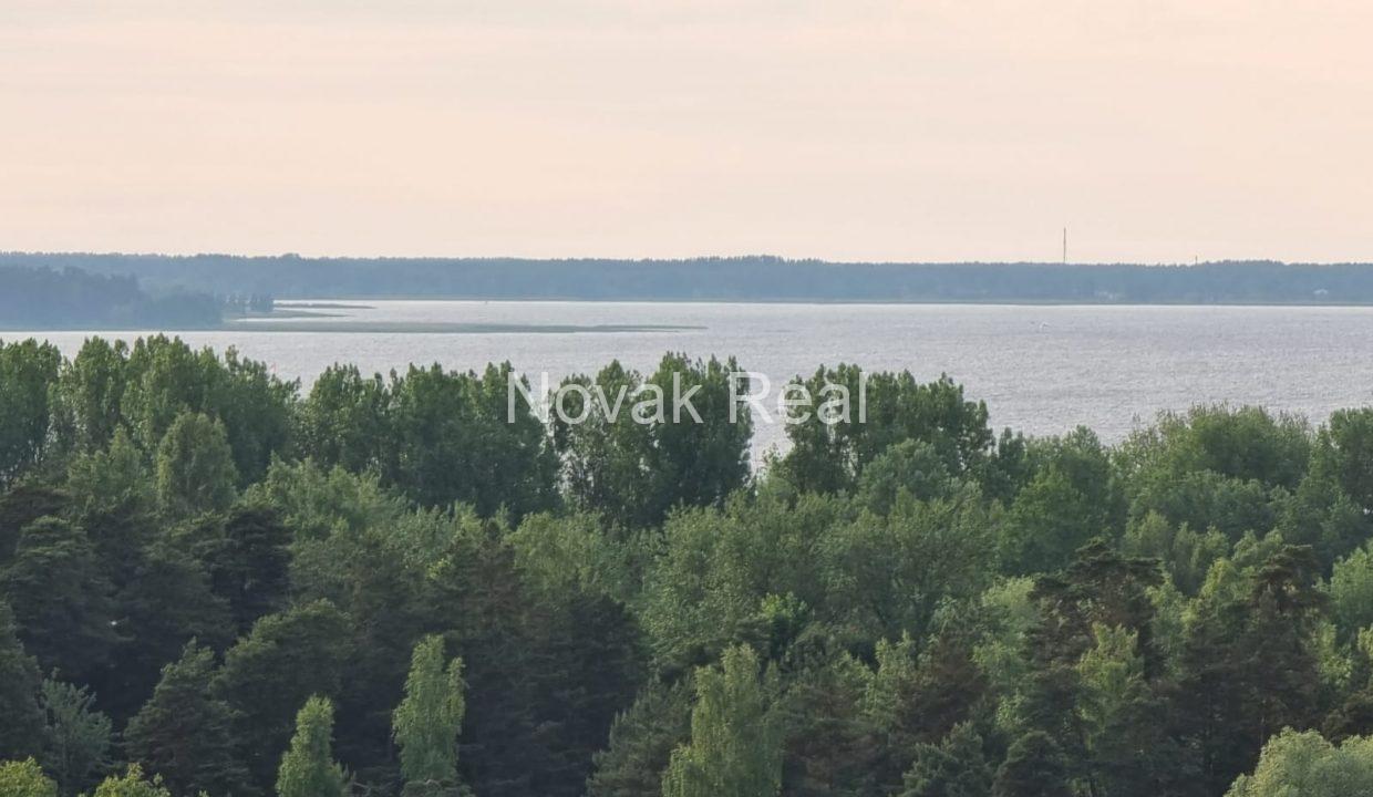 WhatsApp Image 2021-08-29 at 22.56.13