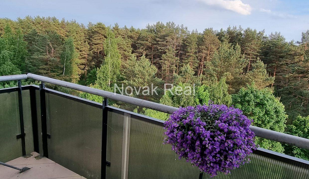 WhatsApp Image 2021-08-29 at 22.56.15