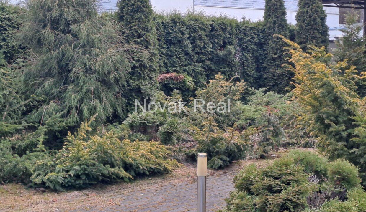 WhatsApp Image 2023-08-11 at 09.04.48