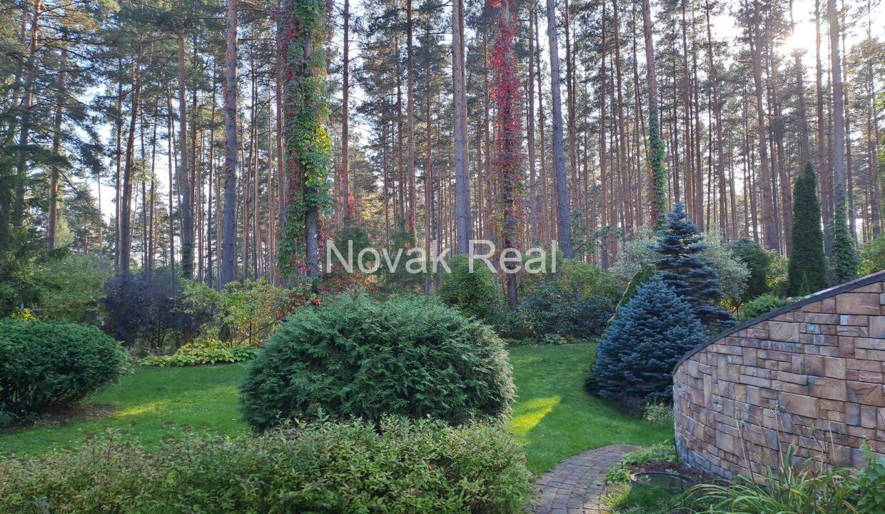 50f93cac-7094-4726-bf95-8257a51aa9ca