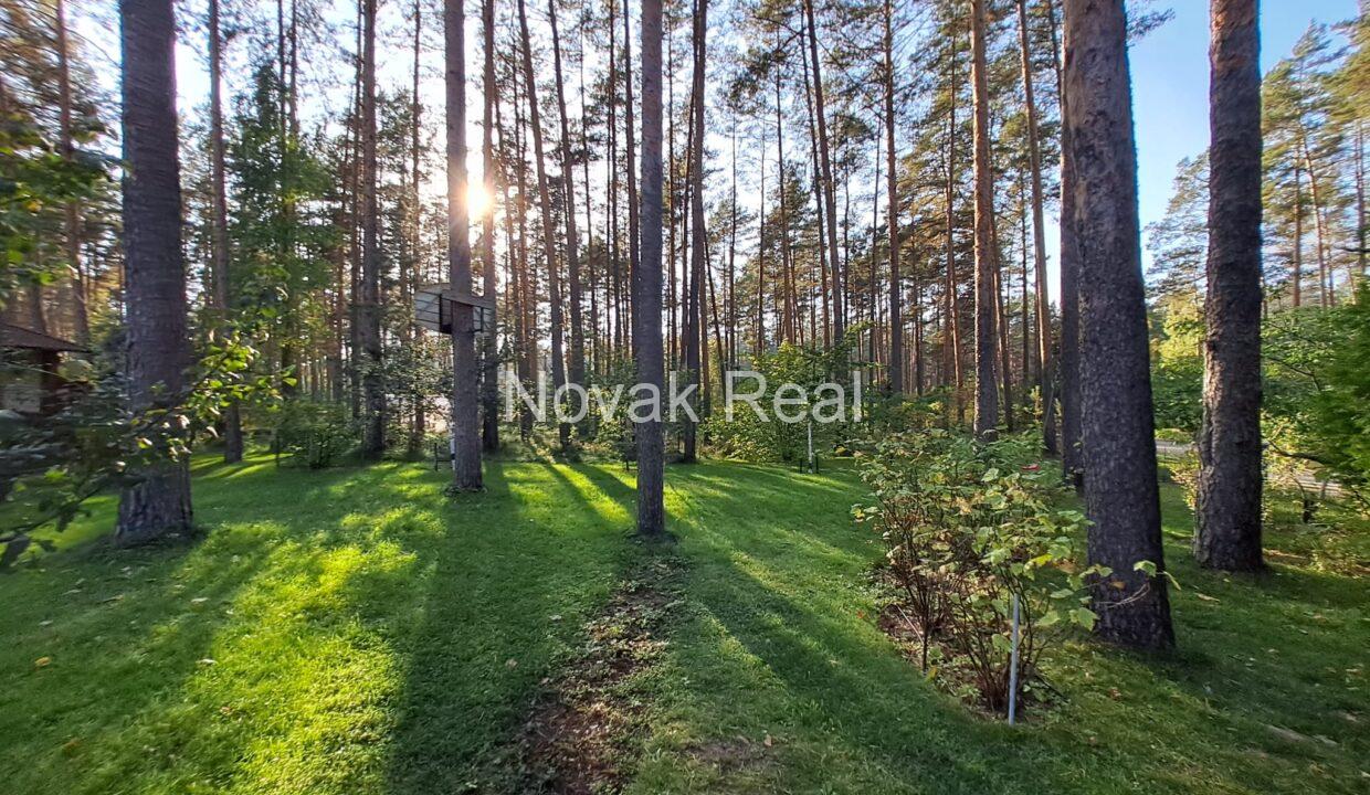 a9d72513-5d69-4358-b290-3d3af352b513