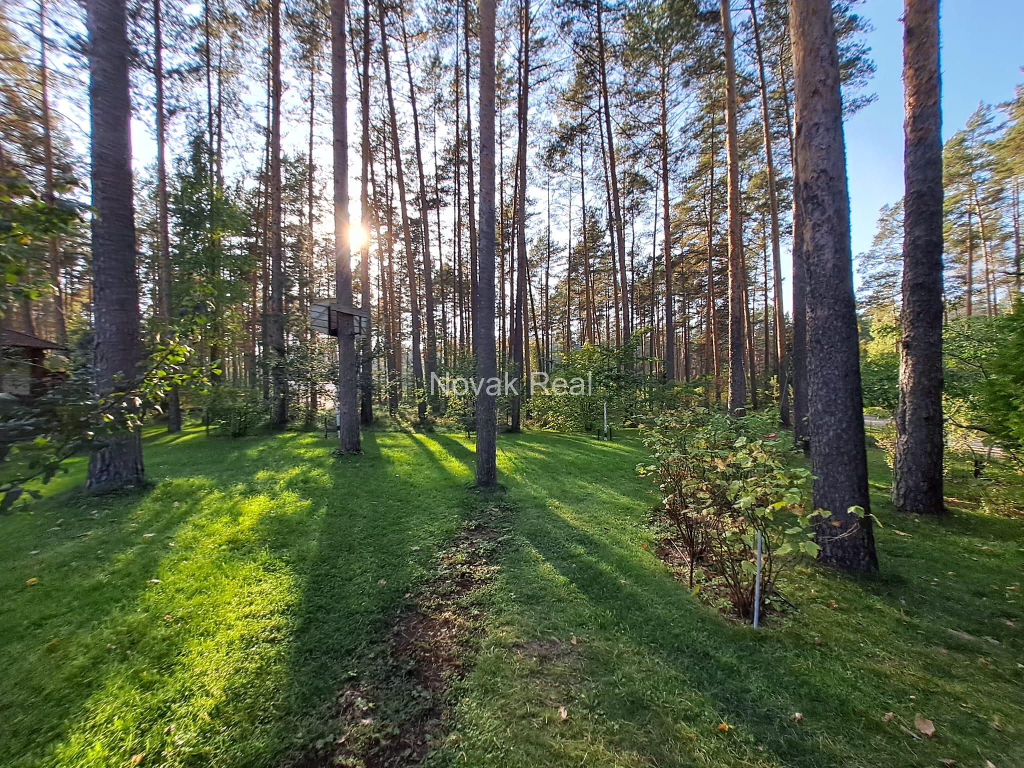 Savrupmāja pie Baltā ezera (Baltezers)