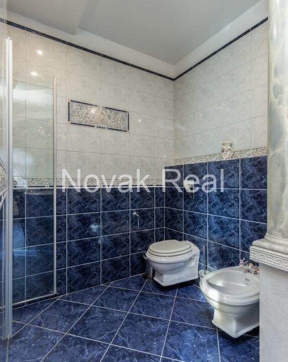 bf_w1290_h860_v1_126916-454564264015763