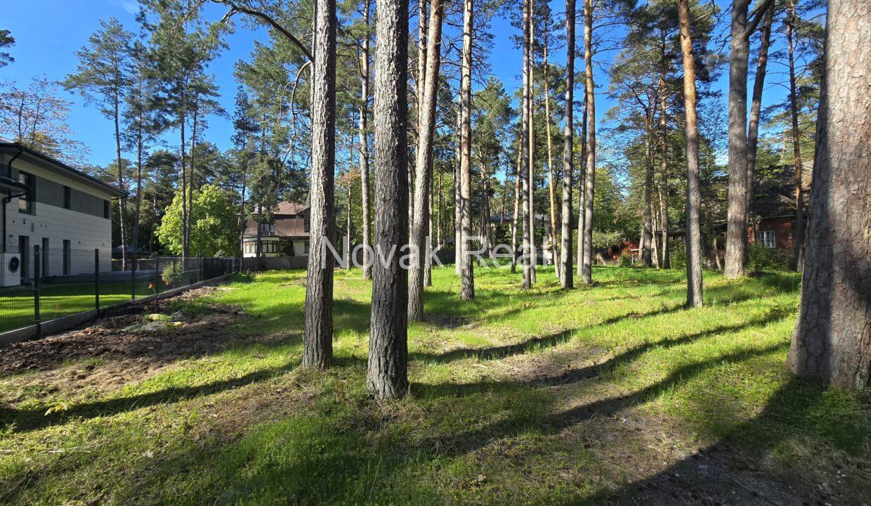 WhatsApp Image 2025-05-21 at 11.27.17 (1)