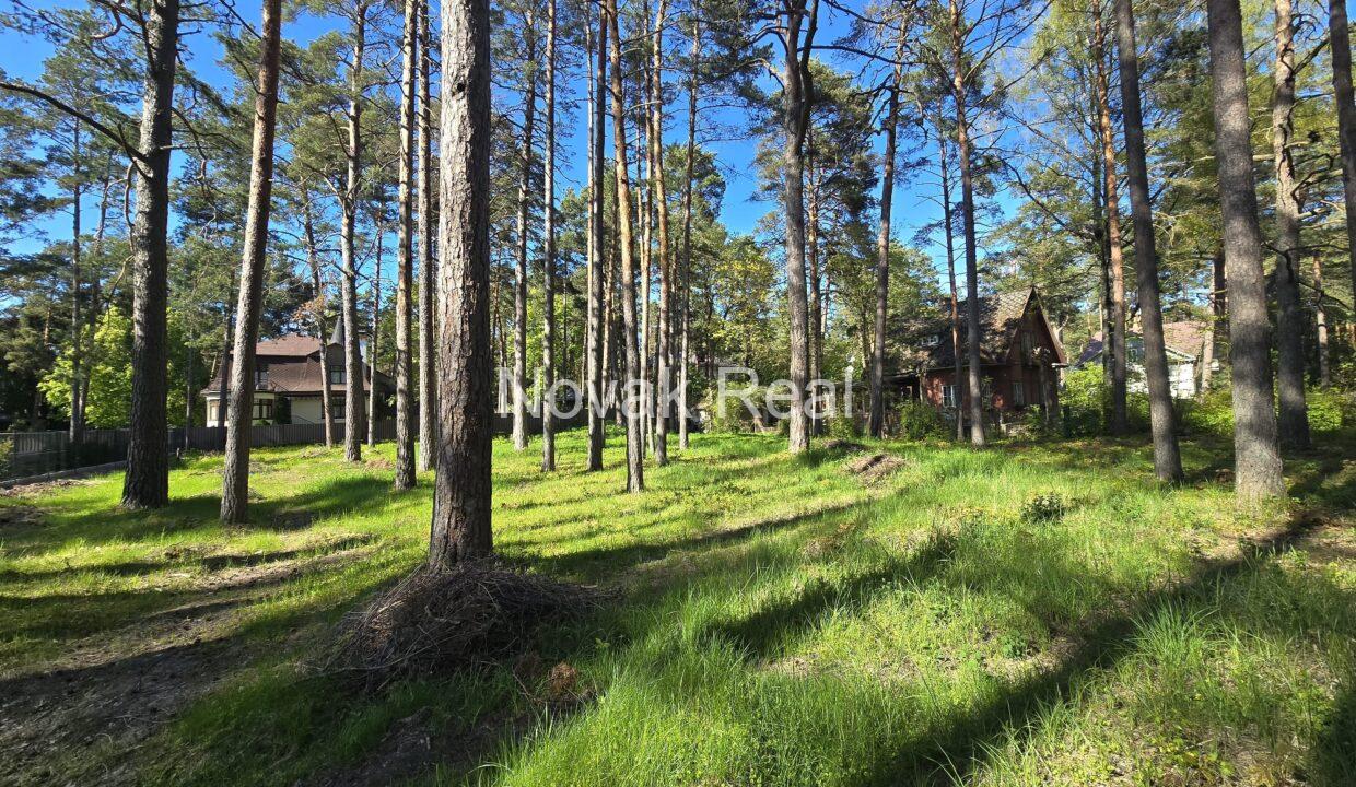 WhatsApp Image 2025-05-21 at 11.27.17 (2)