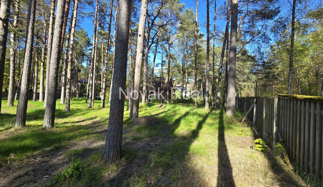 WhatsApp Image 2025-05-21 at 11.27.17 (3)