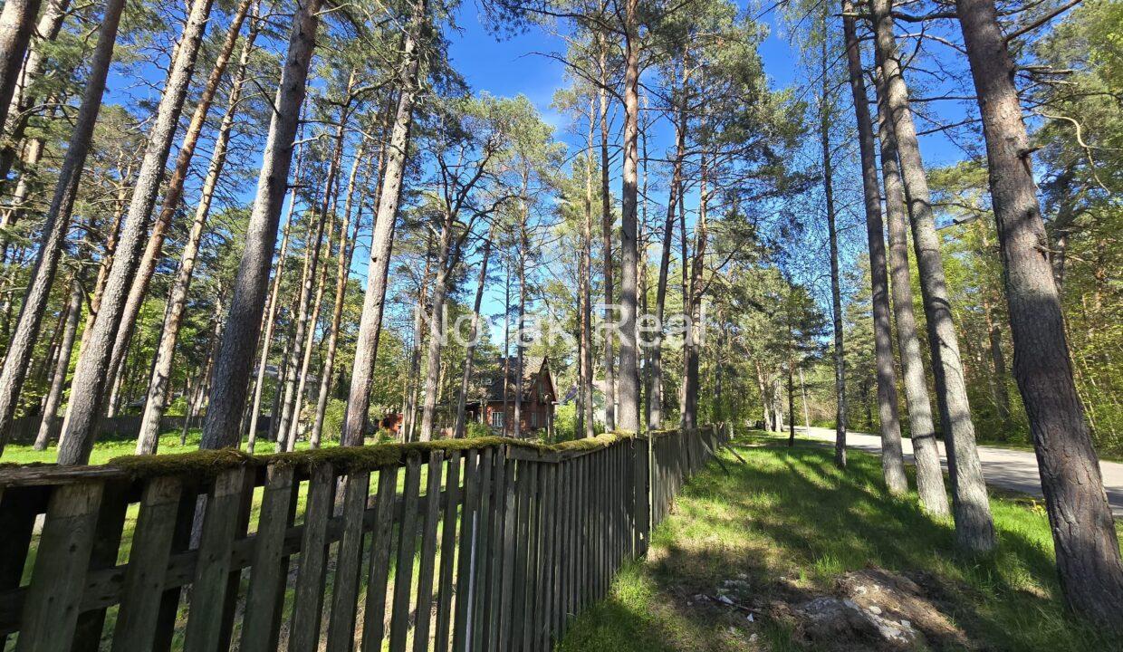 WhatsApp Image 2025-05-21 at 11.27.17 (5)